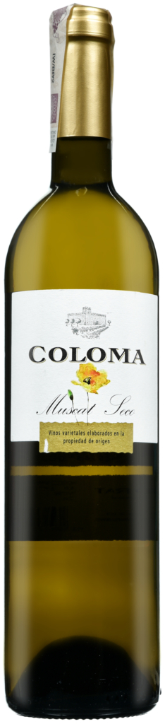 Wino Coloma Dry Muscat Extremadura VdlT 2022