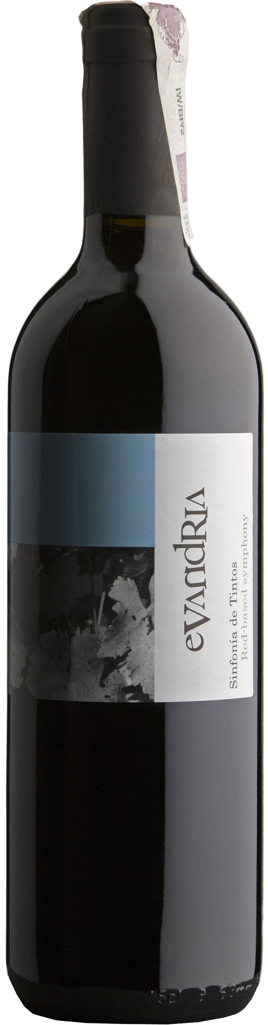 Wino Coloma Evandria Extremadura VdlT