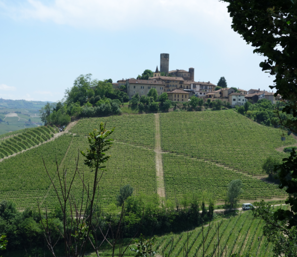 Od barolo po gropello – podróż do włoskich winnic