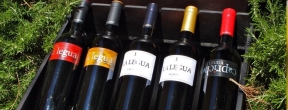 Wino Hiszpańskie La Legua