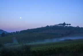Winnice nocą Toskania