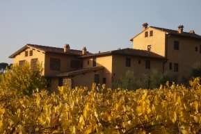 Winnice Toskanii