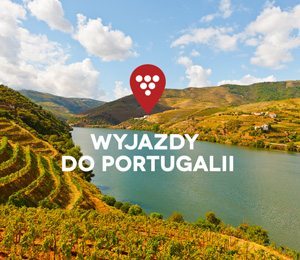 MISJA WINO: wakacje na winnym szlaku Portugalii!