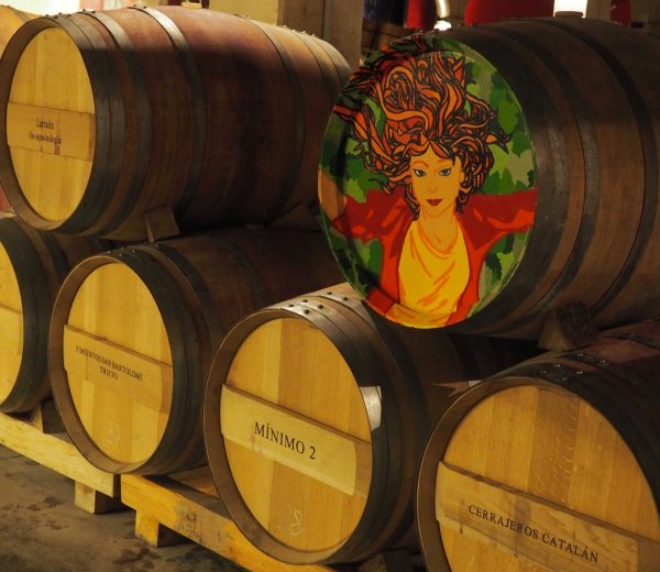 Rioja - beczki fot. Agnieszka Wojtkun