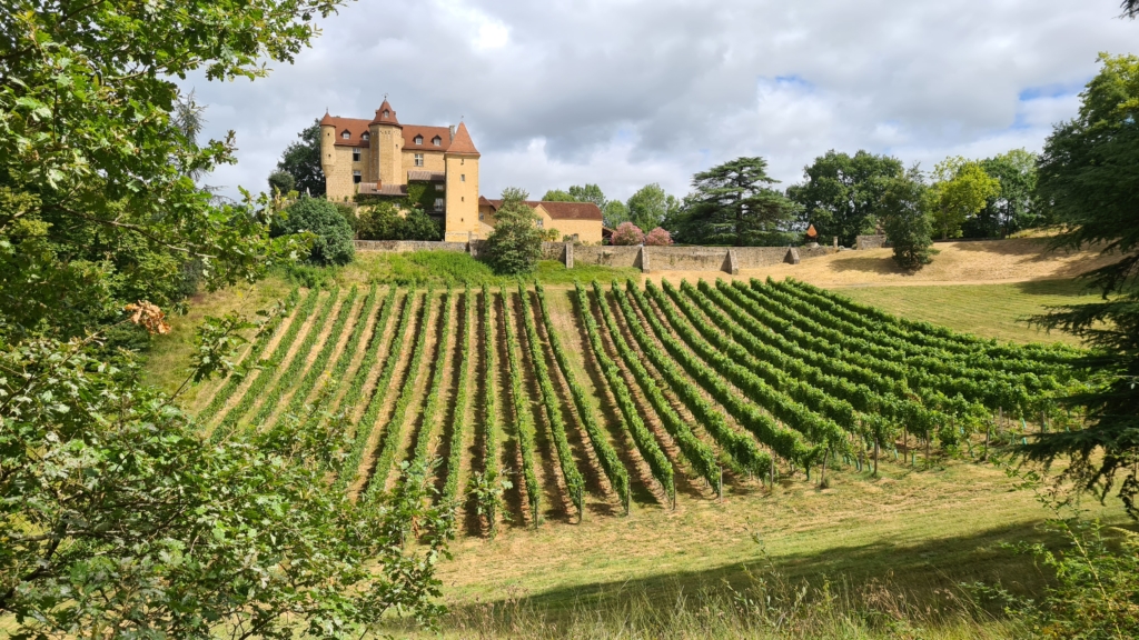Widok na winnicę w południowo-zachodniej Francji