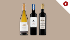 Casal Monteiro and Tejo Wines