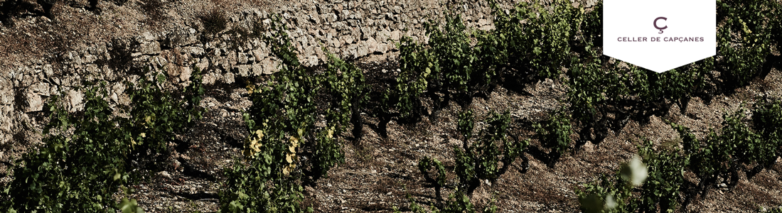 Kolacja Degustacyjna: Katalońska winnica Capçanes