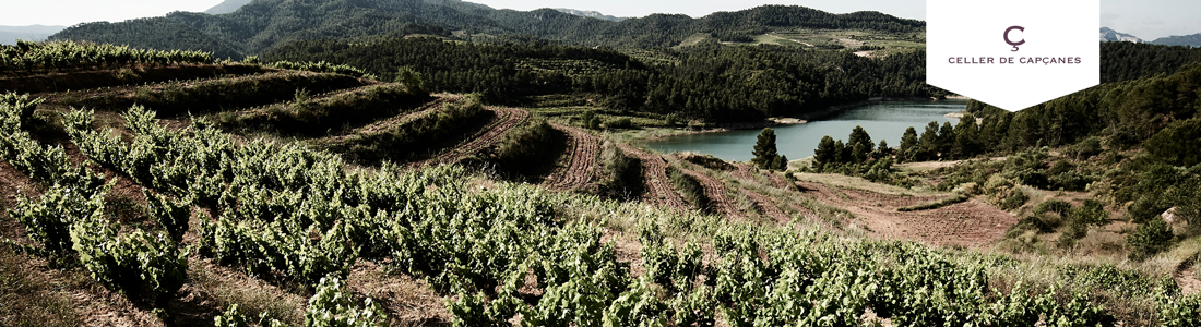 Degustacja: Katalońska winnica Capçanes