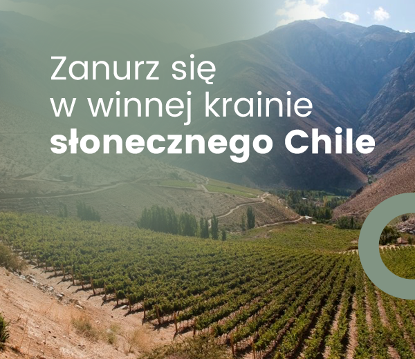 Chilijskie wina – tego jeszcze o nich nie wiecie!