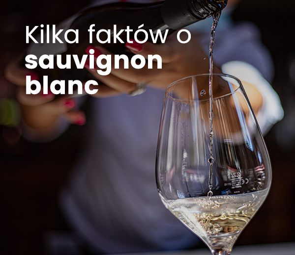 Sauvignon blanc – szczep dla każdego?
