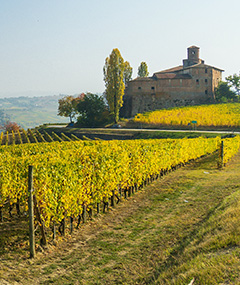 Warsztat Wina Masterclass: Barolo i spółka – wielkie wina Piemontu