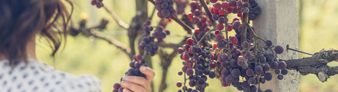 Kolacja degustacyjna: Wino i kosmetyki - co mają wspólnego?