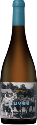Wino Winnica Silesian Cuvee 2023