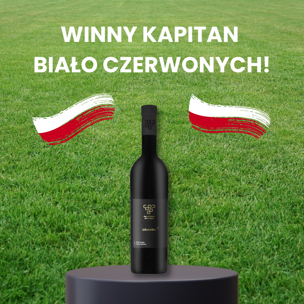 euro grafika na blog