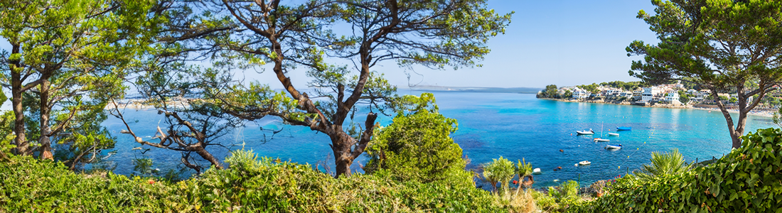 Warsztat Wina Masterclass: Możliwości wyspy