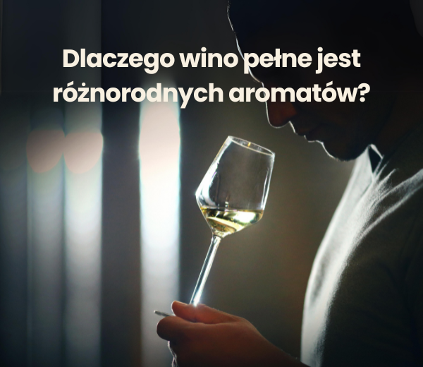 wino zapach blog mini