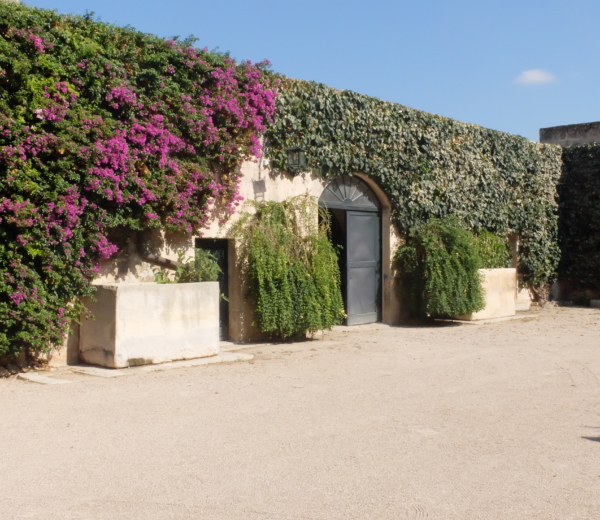 castello frisari winery