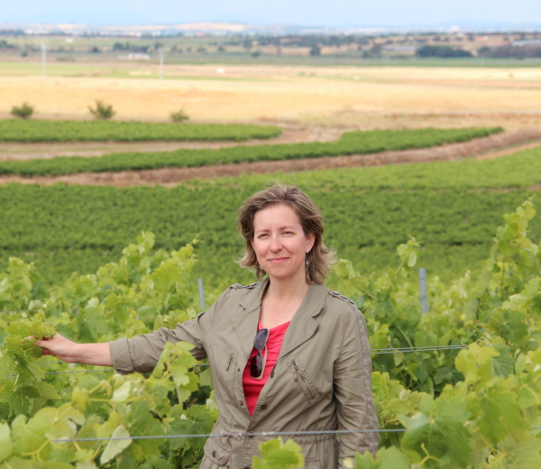 coloma bodega amelia