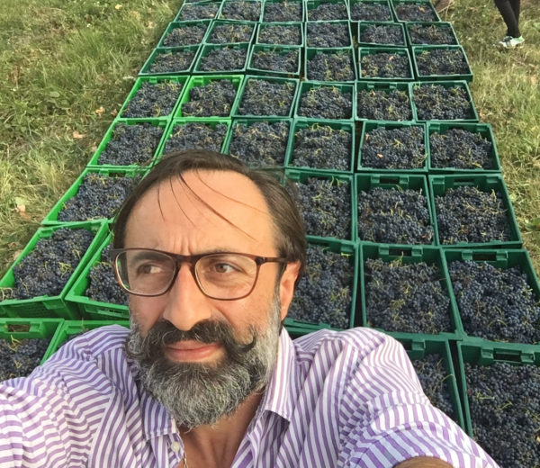 davit gruzja zbiory marani elizbar