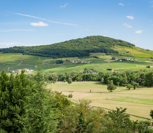 chateau de durette winnica
