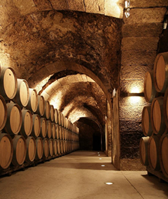 Degustacja: Casa Primicia - hiszpańska klasyka