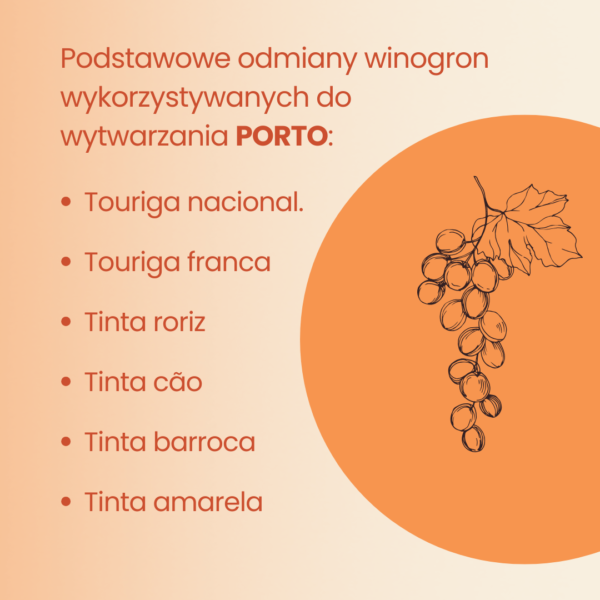 odmiany winogron porto