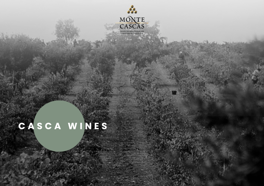 monte cascas grafika