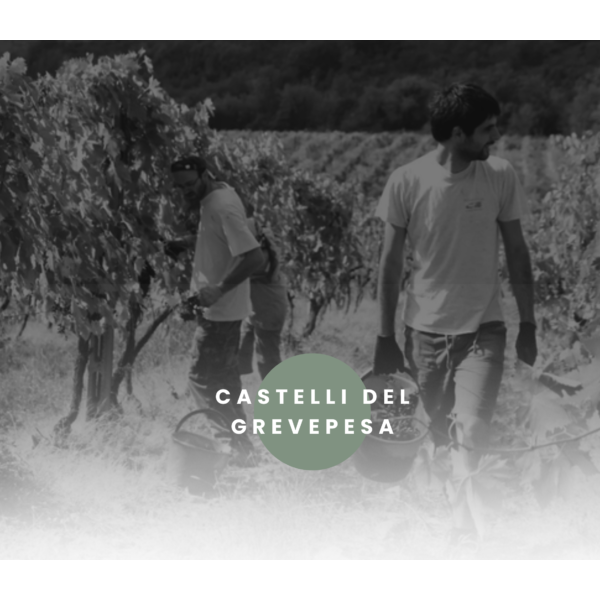 Castelli Del Grevepesa