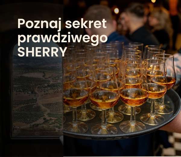 sherry blog mini poprawka