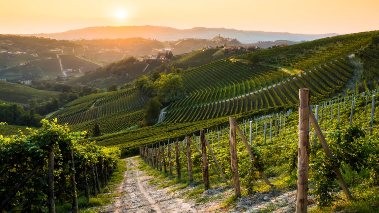 Winnica węgry, wina węgierskie, Varsányi Pincészet, Eger,