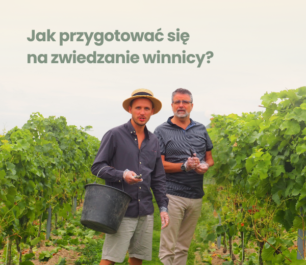 Jak wygląda wizyta w winnicy?