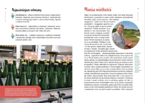 Książka "Kieliszkiem Po Mapie" Małgorzata Sułek