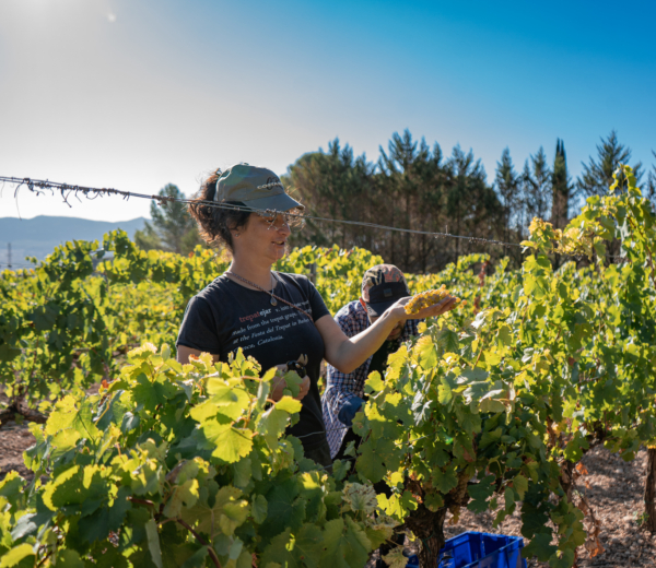 josep foraster praca