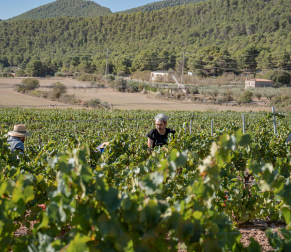 josep foraster krajobraz