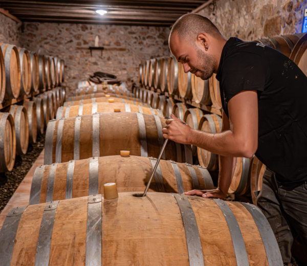 josep foraster beczki