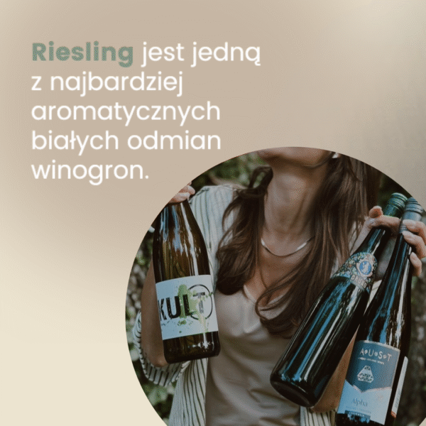 riesling artykul grafika do tekstu