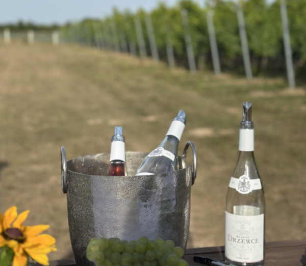 winnica Majątek Drzewce - polskie wina