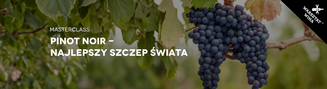 Warsztat Wina Masterclass: Pinot Noir – najlepszy szczep świata