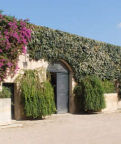 Degustacja komentowana „Historia 1000 lat w kieliszku: przez Apulię z Carlo Guarinim"