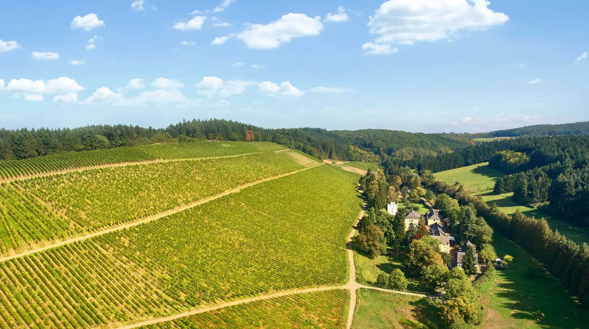 winnica kartaeuserhof