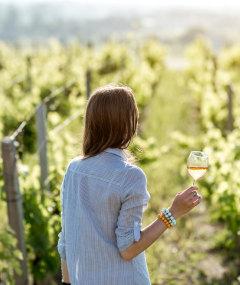 Kolacja degustacyjna „Kobiety dla Kobiet"