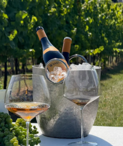 Kolacja degustacyjna „Polskie wina z Krainy Lessowych Wąwozów - Majątek Drzewce"