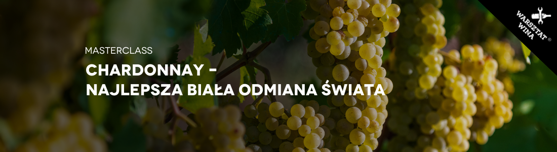 Warsztat Wina Masterclass: Chardonnay – najlepsza biała odmiana świata