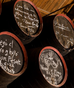 Warsztat Wina Masterclass: Wina z historią – długowieczne perełki