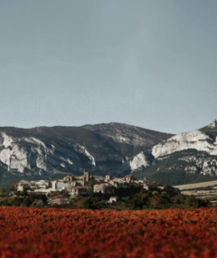 Warsztat Wina Masterclass: Rioja - hiszpańska ikona