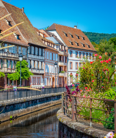 Degustacja komentowana „Alzackie korzenie z Fernand Engel"